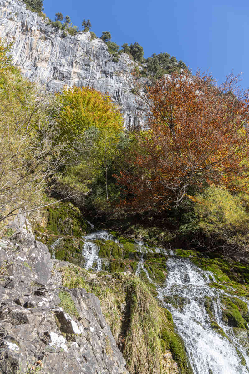 Huesca - parque nacional de Ordesa y Monte Perdido - valle de Escuaín 23 - garganta de Escuaín - Surgencia del rio Yaga.jpg